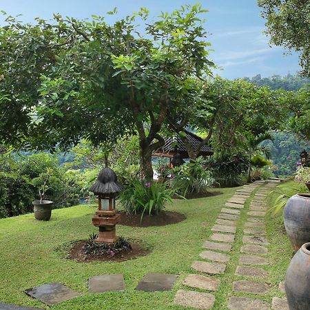 Villa Patria Lovina Exteriér fotografie